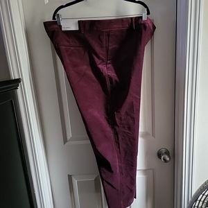 Ann Taylor The Ankle Devin Fit Burgandy Velvet Pant Size 18